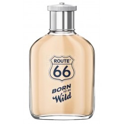 Route 66 Born To Be Wild...