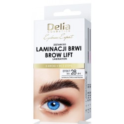 DELIA EYEBROW EXPERT ZESTAW...