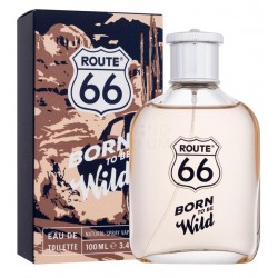 Route 66Born To Be Wild 100...