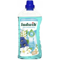 LUDWIK PŁYN DO MYCIA...