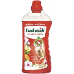 LUDWIK PŁYN DO MYCIA...