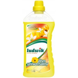 LUDWIK PŁYN DO MYCIA...