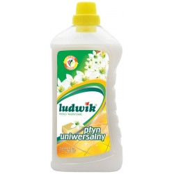 LUDWIK PŁYN DO MYCIA...