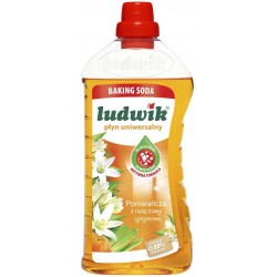 LUDWIK PŁYN DO MYCIA...